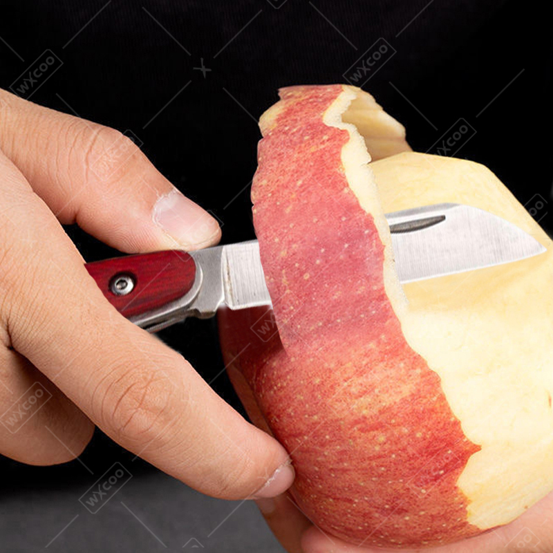 Stainless Steel Pocket Knife R - Kitchen Baking Store ulasan dan harga